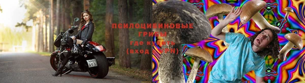 кокс Заводоуковск